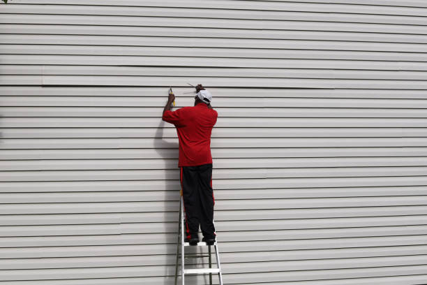 Best Historical Building Siding Restoration  in Wilsonville, AL