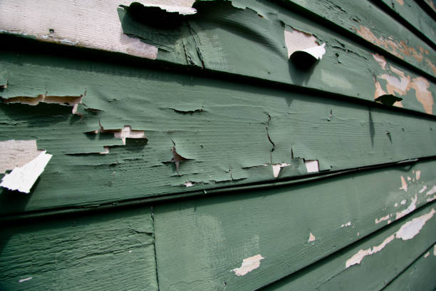 Best James Hardie Siding  in Wilsonville, AL