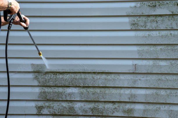 Best Siding Maintenance  in Wilsonville, AL